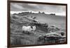 Two white sheep below Staple Tor near Merrivale, Dartmoor National Park, Devon, England-Stuart Black-Framed Photographic Print