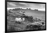 Two white sheep below Staple Tor near Merrivale, Dartmoor National Park, Devon, England-Stuart Black-Framed Photographic Print