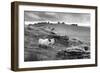 Two white sheep below Staple Tor near Merrivale, Dartmoor National Park, Devon, England-Stuart Black-Framed Photographic Print