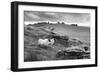 Two white sheep below Staple Tor near Merrivale, Dartmoor National Park, Devon, England-Stuart Black-Framed Photographic Print