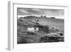 Two white sheep below Staple Tor near Merrivale, Dartmoor National Park, Devon, England-Stuart Black-Framed Photographic Print