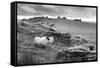 Two white sheep below Staple Tor near Merrivale, Dartmoor National Park, Devon, England-Stuart Black-Framed Stretched Canvas