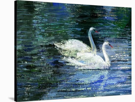 Two White Swans On Lake-balaikin2009-Stretched Canvas