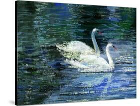 Two White Swans On Lake-balaikin2009-Stretched Canvas