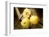 Two Whole and One Half Nashi Fruit-Eising Studio - Food Photo and Video-Framed Photographic Print