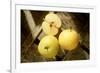 Two Whole and One Half Nashi Fruit-Eising Studio - Food Photo and Video-Framed Photographic Print