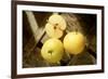 Two Whole and One Half Nashi Fruit-Eising Studio - Food Photo and Video-Framed Photographic Print