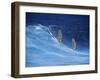 Two Windsurfers-null-Framed Premium Photographic Print