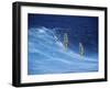 Two Windsurfers-null-Framed Premium Photographic Print