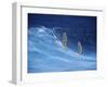 Two Windsurfers-null-Framed Premium Photographic Print