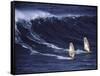 Two Windsurfers-null-Framed Stretched Canvas