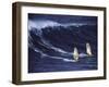 Two Windsurfers-null-Framed Photographic Print