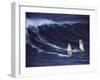 Two Windsurfers-null-Framed Photographic Print