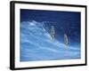 Two Windsurfers-null-Framed Photographic Print