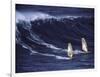 Two Windsurfers-null-Framed Photographic Print