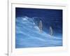 Two Windsurfers-null-Framed Photographic Print