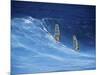 Two Windsurfers-null-Mounted Photographic Print