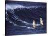 Two Windsurfers-null-Stretched Canvas