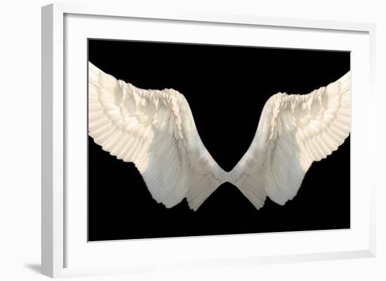 Two Wings Isolated-Lilun-Framed Art Print