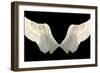 Two Wings Isolated-Lilun-Framed Art Print