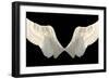 Two Wings Isolated-Lilun-Framed Art Print