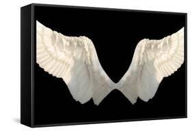 Two Wings Isolated-Lilun-Framed Stretched Canvas