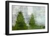 Two Winter Trees 2-Peter Roux-Framed Art Print