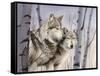 Two Wolves in the Birches-Rusty Frentner-Framed Stretched Canvas