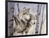 Two Wolves in the Birches-Rusty Frentner-Framed Giclee Print