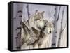 Two Wolves in the Birches-Rusty Frentner-Framed Stretched Canvas