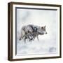 Two Wolves Walking in the Snow-Svetlana Foote-Framed Photographic Print