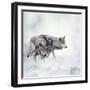 Two Wolves Walking in the Snow-Svetlana Foote-Framed Photographic Print