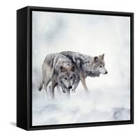Two Wolves Walking in the Snow-Svetlana Foote-Framed Stretched Canvas