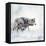 Two Wolves Walking in the Snow-Svetlana Foote-Framed Stretched Canvas