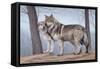 Two Wolves-Rusty Frentner-Framed Stretched Canvas