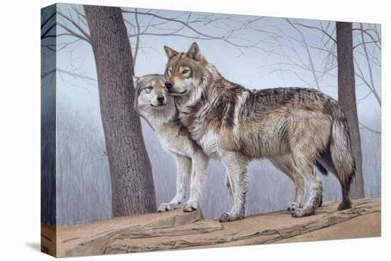 Two Wolves-Rusty Frentner-Stretched Canvas