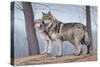 Two Wolves-Rusty Frentner-Stretched Canvas