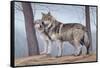 Two Wolves-Rusty Frentner-Framed Stretched Canvas