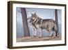 Two Wolves-Rusty Frentner-Framed Giclee Print