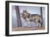 Two Wolves-Rusty Frentner-Framed Giclee Print