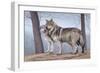 Two Wolves-Rusty Frentner-Framed Giclee Print