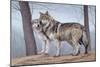 Two Wolves-Rusty Frentner-Mounted Giclee Print
