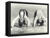 Two Women Doing Backbends on the Beach-null-Framed Stretched Canvas