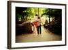 Two Women, Old and Young, Walking in a Park in Chinatown, Manhat-Sabine Jacobs-Framed Photographic Print