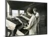 Two Women Packing Cherries (June 22, 1928)-Ashael Curtis-Mounted Giclee Print