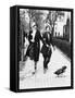 Two Women Walking their Ducks Photograph - Washington, DC-Lantern Press-Framed Stretched Canvas