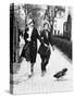 Two Women Walking their Ducks Photograph - Washington, DC-Lantern Press-Stretched Canvas