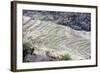 Two Women Working, India-Annie Owen-Framed Photographic Print