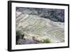 Two Women Working, India-Annie Owen-Framed Photographic Print