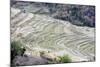 Two Women Working, India-Annie Owen-Mounted Photographic Print